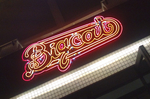 1105bigcat.jpg