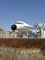 0317S.jpg
