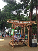130803_forestentrance.jpg